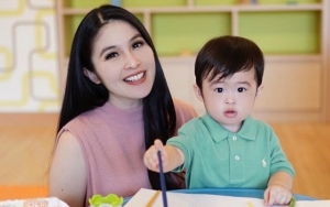  'Tuan Muda' Raphael Putra Sandra Dewi Dibelikan Mobil Baru Yang Ke-4, Intip Penuhnya Isi Garasi