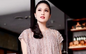 Cerita Sandra Dewi Ditinggalkan ART Karena Beri THR Kebanyakan hingga Impian Jadi Ibu Mertua Galak