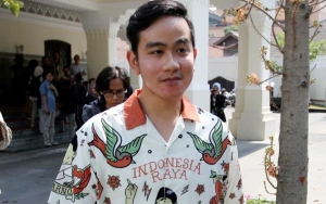 Kalah Populer Dari Petahana Achmad Purnomo, Gibran Rakabuming Buka Suara