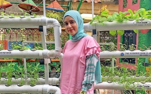 Fairuz A. Rafiq