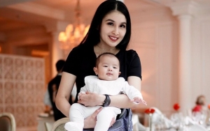  Gemasnya Putra Bungsu Sandra Dewi Beri Tatapan Melongo Saat Dikemas Masuk Koper