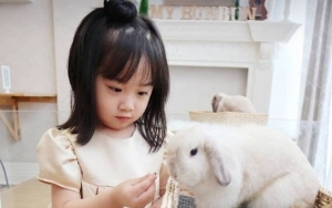Pecinta Kelinci Harus Banget Mampir ke My BunBun Rabbit Café di Jakarta