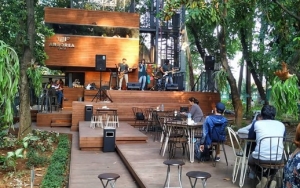 Pernah Terbayang Ngopi Cantik di Tengah Hutan? Kunjungi Saja Arborea Café Jakarta
