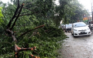 Puluhan Pohon-Tiang Listrik di Surabaya Roboh, Walkot Risma Turun Tangan Atur Lalin Banjir Pujian