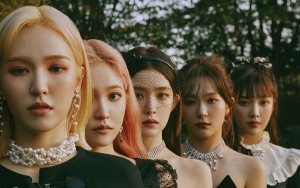 Film Hollywood 'Birds Of Prey' Rilis Daftar Soundtrack Resmi, Ada Red Velvet?
