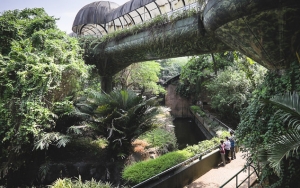 Nikmati Asyiknya Jogging di Kawasan Kebun Binatang Ragunan