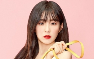 Irene Red Velvet Dibilang Bak Putri Negeri Dongeng Usai Posting Foto Pakai Mahkota