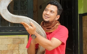  Sudah Kasih Peringatan, Panji Petualang Tak Mau Disalahkan Kasus Orang Meninggal Digigit Ular