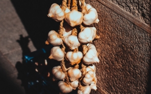 Bawang Putih Juga Berkhasiat Untuk Menjaga Sistem Imun Tubuh Karena Kandungan yang Dimilikinya