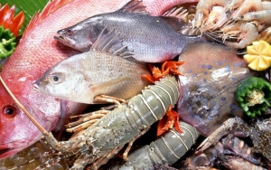 Makanan Laut dan Makanan yang Mengandung Zat Besi Juga Ampuh Untuk Menjaga Sistem Imun Tubuh