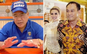 Hotman Paris Minta Nikita Mirzani dan Dipo Latief Berdamai Demi Anak