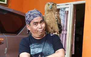  Hidup dengan Satu Paru-paru Bocor, Begini Kondisi Terkini Bopak Castello