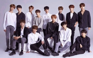 Fans Ogah Seventeen Gabung BTS di Weverse, Big Hit Dikritik Netizen