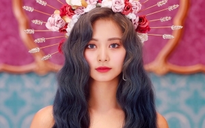 Foto Tzuyu yang Dipuji Bak Boneka Hidup Ternyata Hasil Karya Member Twice