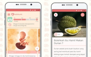 Hallobumil Aplikasi Kehamilan Yang Mudah Banget Digunakan