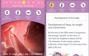Pregnancy Calculator and Tracker Bantu Kalian Hitung Hari Menuju Kelahiran