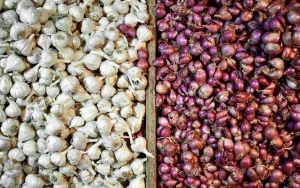 Bawang Putih dan Bawang Merah, Bumbu Dapur yang Bisa Basmi Kutu Rambut Secara Alami