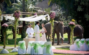 Elephant Safari Park & Lodge Cocok Untuk Kalian Yang Cinta Dengan Safari