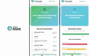 Mint Punya Fitur Yang Lengkap Untuk Atur Uang Kalian