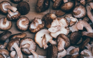 Baik Dibuat Kaldu Atau Dimakan Langsung, Jamur Bisa Jadi Bahan Pengganti MSG