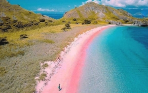 Pantai Tangsi, Pantai Pink di Lombok Timur yang Cocok Dijadikan Tujuan Bulan Madu