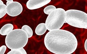 Hati-hati, Minum Antibiotik Sembarangan Juga Dapat Merusak Sel Darah Putih