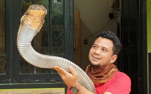 Panji Petualang Akui Telah Lepaskan Garaga Ke Alam Liar, Ini Alasannya Sembunyikan Lokasi
