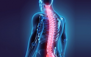 Multiple Sclerosis Penyakit Autoimun Yang Serang Sel Saraf Pusat