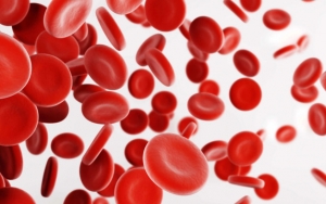 Hemolytic Anemia Salah Satu Penyakit Autoimun Yang Menyerang Darah