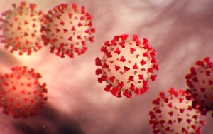 Gejala-Gejala Virus Corona Yang Muncul Hingga Kematian