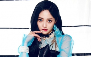 Pledis Ajukan Gugatan Hukum Lawan Kyulkyung Karena Pemutusan Kontrak Tanpa Dasar