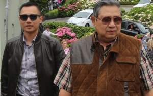 SBY dan AHY Jalani Rapid Test Usai Bupati Karawang Terinfeksi Corona