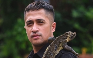 Karyawan Lalai, Irfan Hakim Rugi Ratusan Juta Karena 31 Ikan Hiasnya Mati