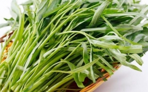 Jadi Santapan Sehari-hari, Kangkung Ternyata Sangat Mudah Ditanam