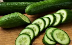 Mentimun Yang Segar Bisa Kalian Dapatkan Langsung Dari Kebun Sendiri