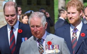William dan Harry Jadi Akur Kembali Usai Pangeran Charles Positif Corona