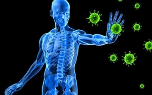 Meningkatkan Sistem Kekebalan Tubuh