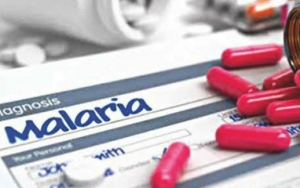 Anti-Malaria untuk Kalahkan Virus Corona