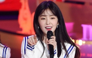 Irene Red Velvet Pernah Coba Gaya Rambut 'Nggak Banget', Tetap Cantik?