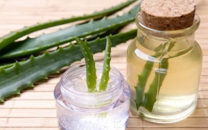 Masker Lidah Buaya