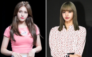 Serunya Jeon Somi Main Game Animal Crossing Bareng Lisa BLACKPINK