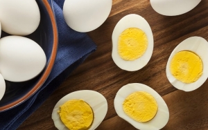Telur