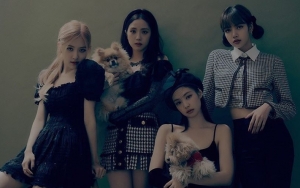 BLACKPINK Beri Bocoran Soal Album Comeback dan Ungkap Jennie Alami Cedera Kaki