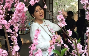 Bikin Heboh, Potret Cantik Masa Muda Titiek Puspa Disebut Mirip Isyana Sarasvati Sampai Jessica Mila