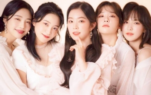 Netizen Bahas Kegiatan Terkini Member Red Velvet, dari Pemotretan Sampai Kolaborasi