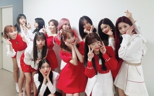 Fans Soroti Perbedaan Konsep Comeback IZ*ONE Pasca Ganti Produser, Mana Yang Paling Disukai?