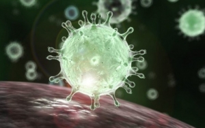 Virus Corona Bermutasi Jadi 10 Kali Lebih Tangguh, Ternyata Hanya Infeksi Daerah Seperti Ini