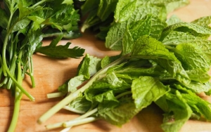 Daun Mint dan Parsley