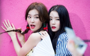 Seulgi dan Irene Red Velvet Buat Heboh Disangka Syuting 'We Got Married'