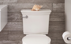 Cek Kebersihan Toilet dan Gunakan Tisu Sekali Pakai Untuk Dudukan Toilet